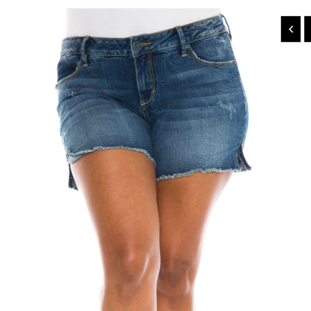 Caralyn Slink Jeans Denim Curvy shorts frayed
